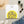 Pixels for World Peace Graphic T-Shirt